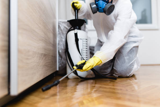 Best Cockroach Control Services  in Lacoste, TX