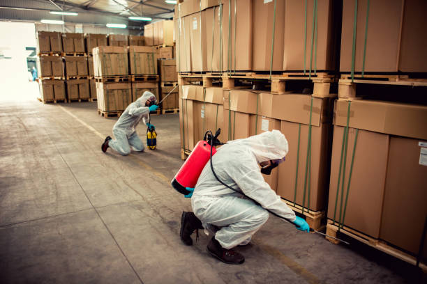 Pest Prevention Services in Lacoste, TX