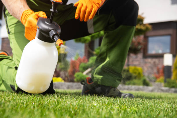 Best Commercial Pest Control Services  in Lacoste, TX