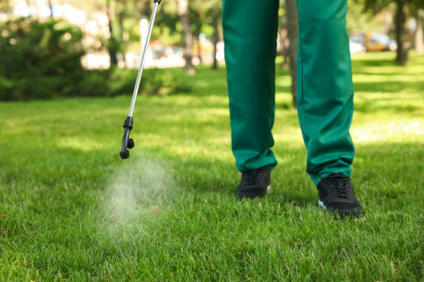 Best Wasp Removal Services  in Lacoste, TX