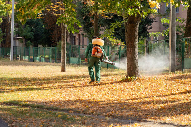 Best Bed Bug Extermination  in Lacoste, TX