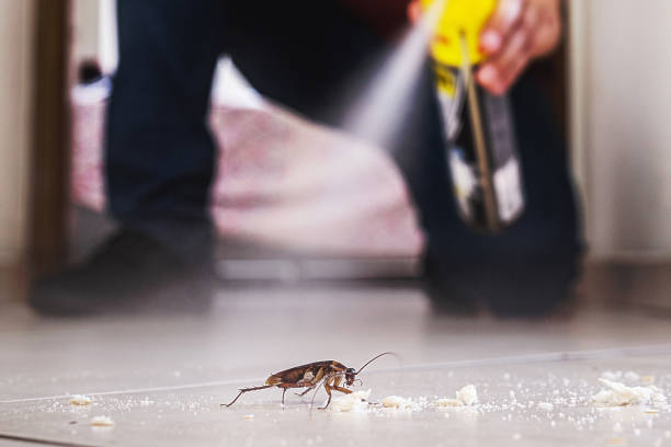 Best Emergency Pest Control  in Lacoste, TX